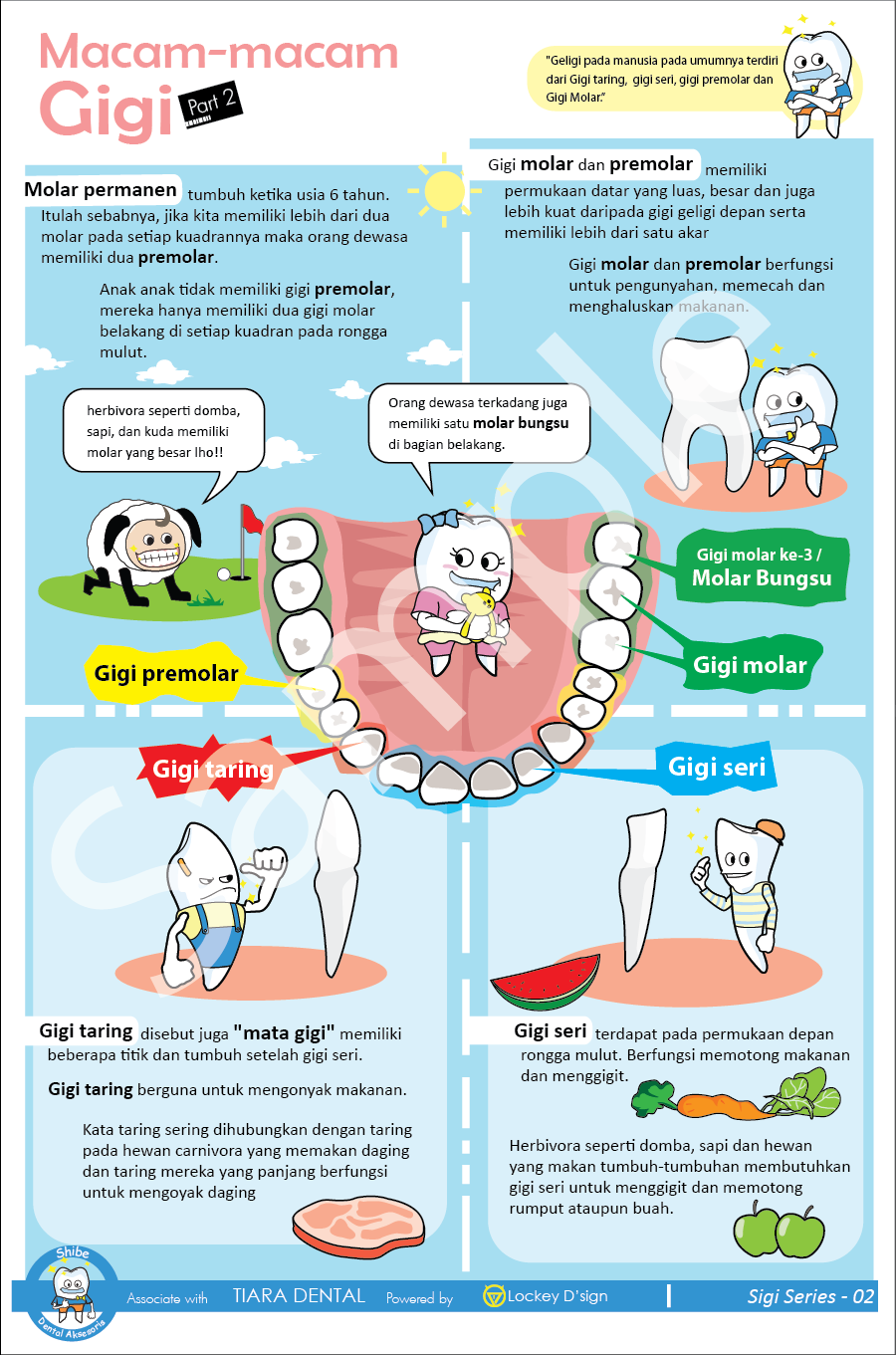 Poster Macam - Macam Gigi  Poster Dental
