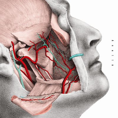 [Album] 如果身體全部開放了 (Anatta) - Easy Shen