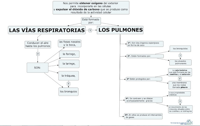 https://cmapspublic2.ihmc.us/rid=1L145Y7GT-27HVDRC-1FC6/EL%20SISTEMA%20RESPIRATORIO.cmap