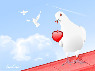 Dove With Heart Adobe Illustrator Wallpapers