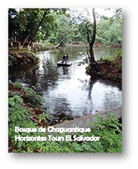 Bosque de Chaguantique
