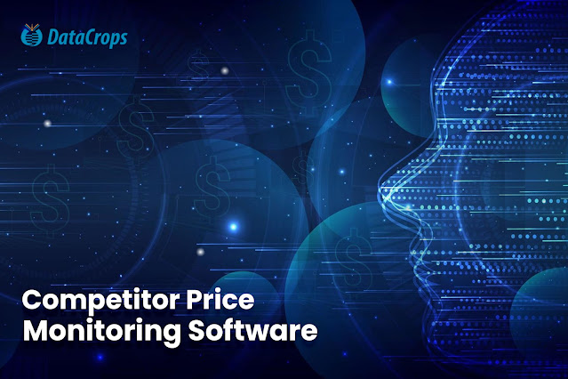 Competitor Price Monitoring Software