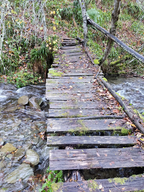 Subida al Cueto Nidio (Valle de Laciana)