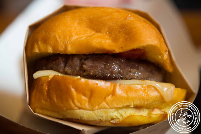 Image of Burger with cheddar cheese at BRGR in NYC, New York