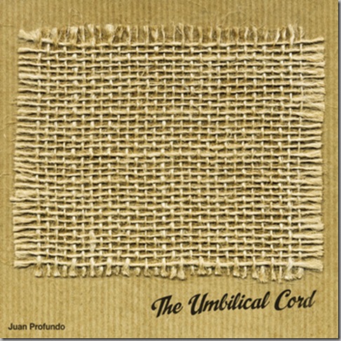 1636171513-1