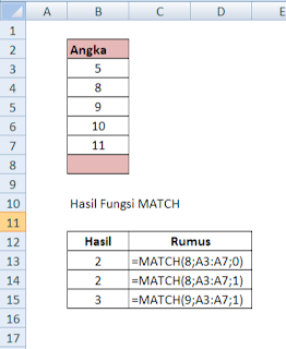 cara menggunakan fungsi MATCH