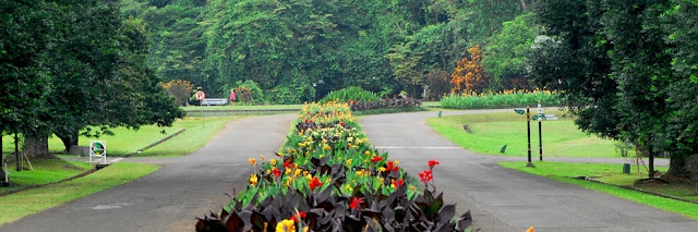 Klik untuk info Tempat Wisata di Bogor Kebun Raya Bogor