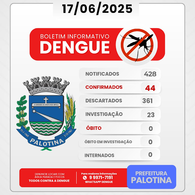boletim com dados atualizados sobre os casos de dengue e chikungunya registrados