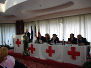 Il Prof. BOSCIA nel corso del Seminario C.R.I.di Bari.