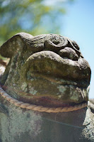 YASHICA ML 50mm 1:1.4　絞り:F1.4