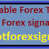 Every Day Forex Trade Copier and Forex signals . .