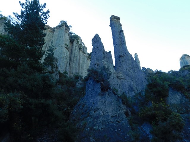 DSCN8834