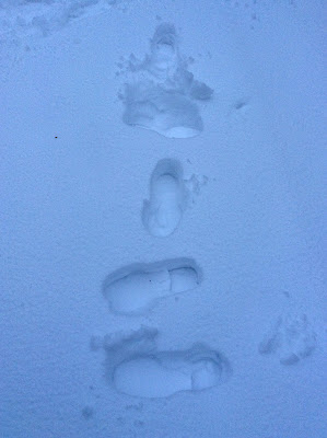 Odd footprints on snow / Kummalliset jalanjäljet lumessa