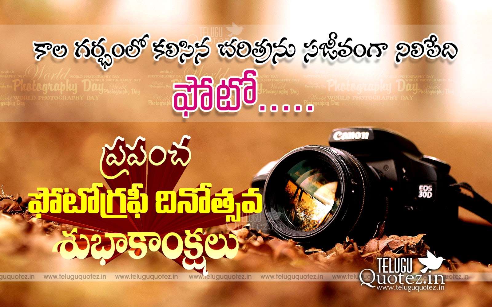 best photography day quotes in telugu Teluguquotez in 