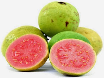 Manfaat Daun Jambu Biji  Sebagai Obat  Tradisional Jambu 