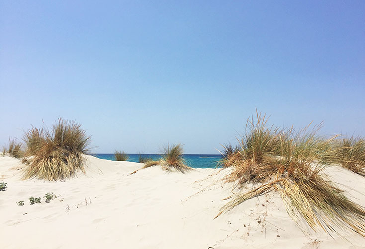 Le spiagge più belle della Sardegna