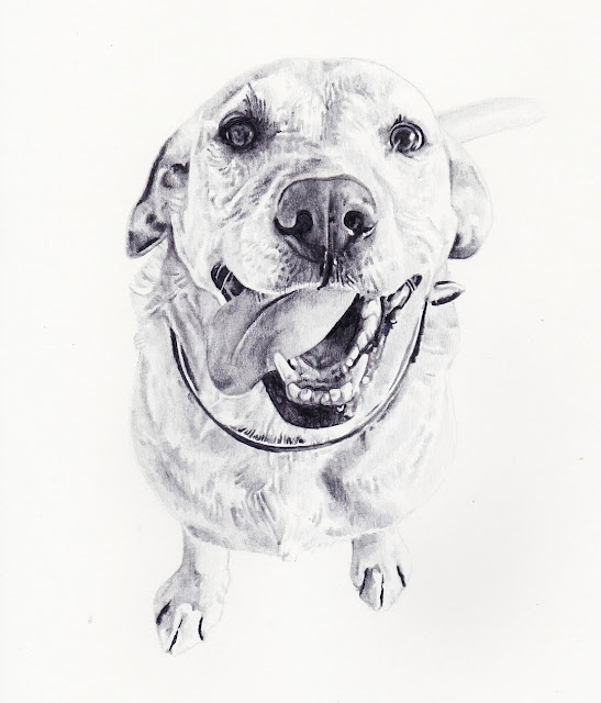 Cute Dogs Drawings Easy