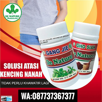 Obat Untuk Gejala kelamin Sakit Serta  Keluar Nanah