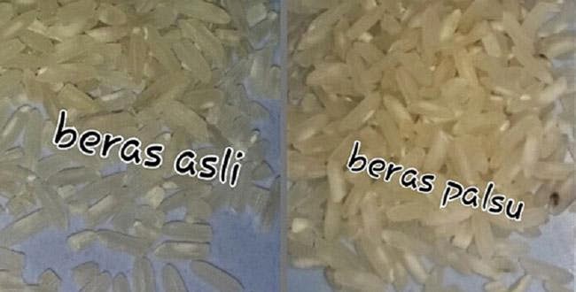 Begini Ciri ciri Beras Plastik palsu Cara Membedakan 