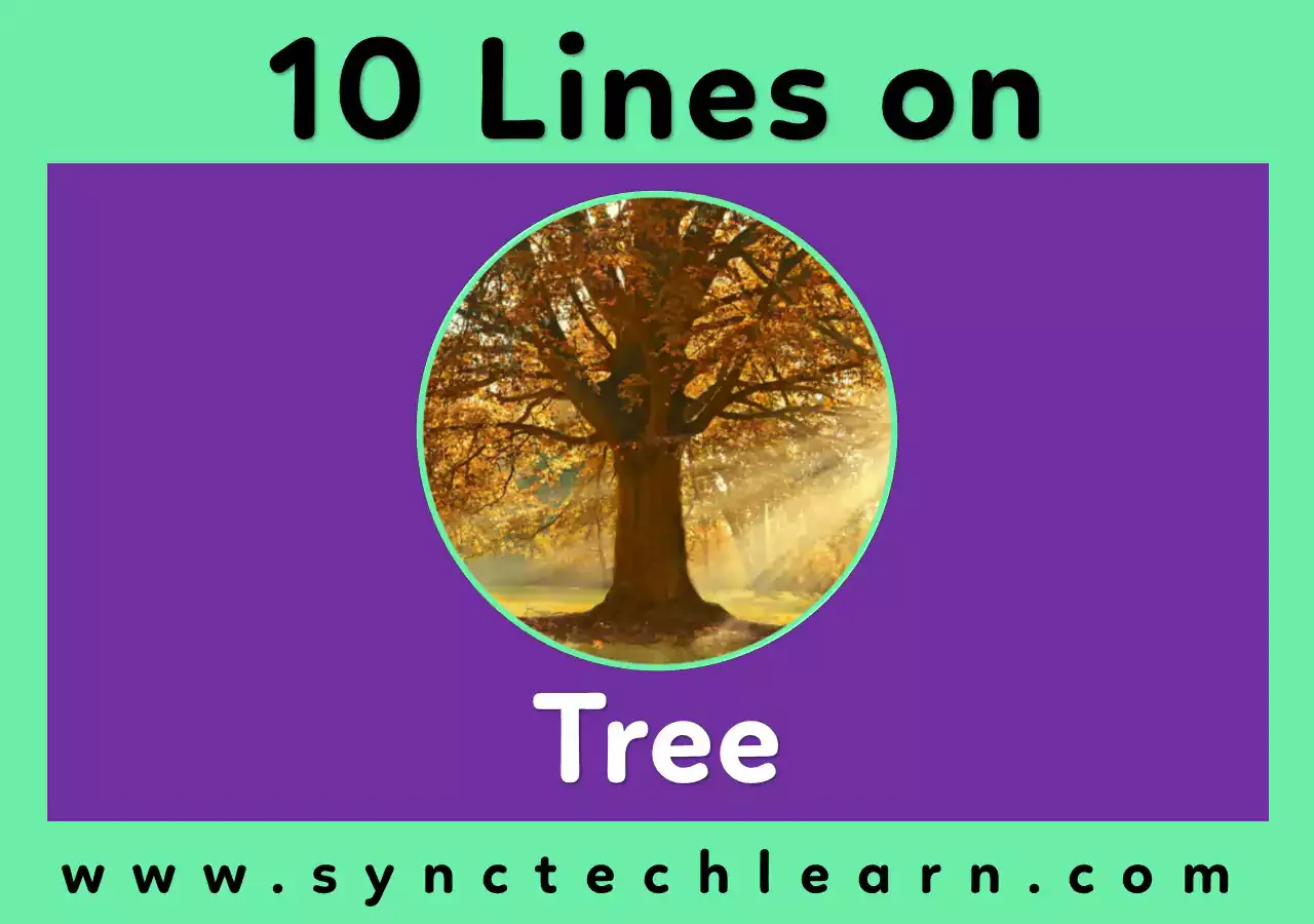 10 Lines On Tree in English - Short Essay on Tree - Few lines on Tree in English