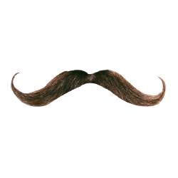 Moustache Png