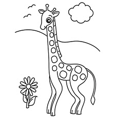 Images Of Baby Giraffe With Flower Coloring Pages