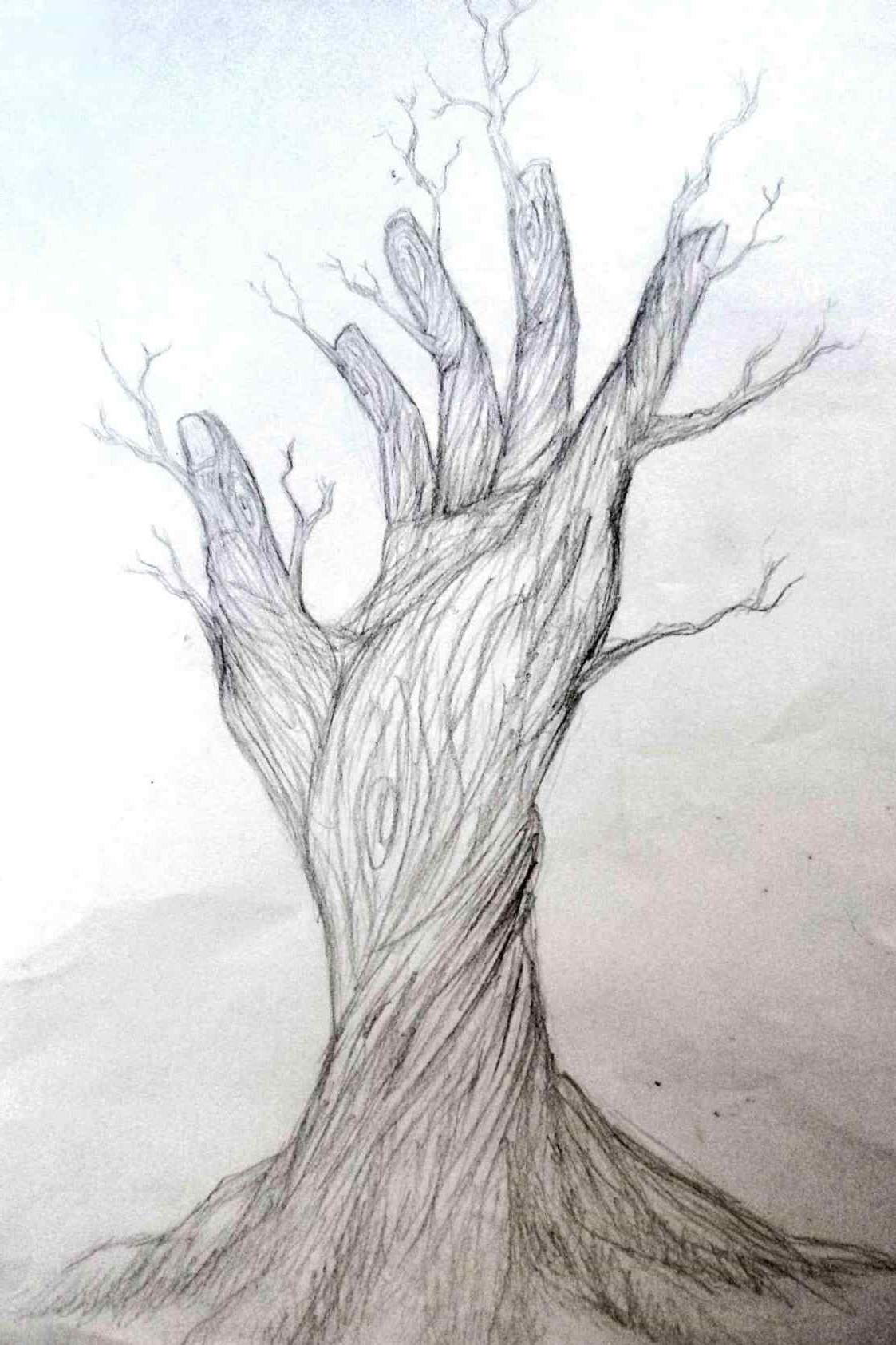 Nature Pencil Drawing