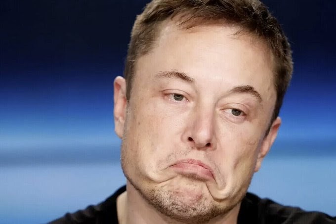 Elon Musk va a convertir Twitter en una app de citas