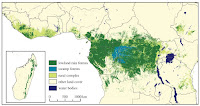 The African continent is home to the second biggest area of rainforest in the world - about   30 per cent of global rainforest cover. As this   satellite data from 2005 shows, most of the rainforest is located in central Africa, but some also grows in west Africa and on the island of Madagascar: (Credit: carbonbrief.org) Click to Enlarge.