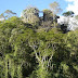 Morro da Pedreira motiva criação de Monumento Natural em Sobradinho