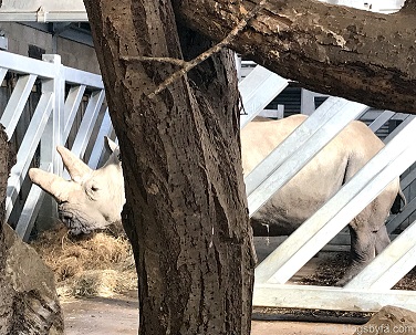 Marwell Zoo Winchester Hampshire