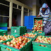  Italia preparará el terreno para la Cumbre de sistemas alimentarios de las Naciones Unidas