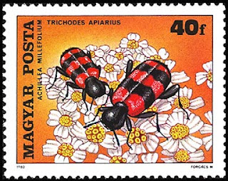 Estampilla húngara que representa dos escarabajos ajedrezados (Trichodes apiarius) sacando polen de la milhojas (Achillea millefolium)