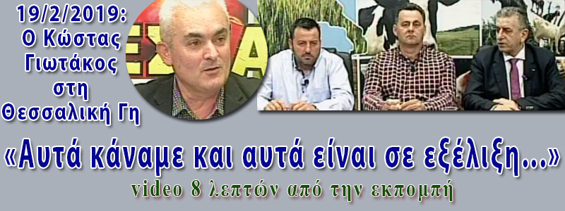 ΚΩΣΤΑΣ ΓΙΩΤΑΚΟΣ