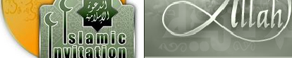 http://www.islamic-invitation.com/book_details.php?bID=425