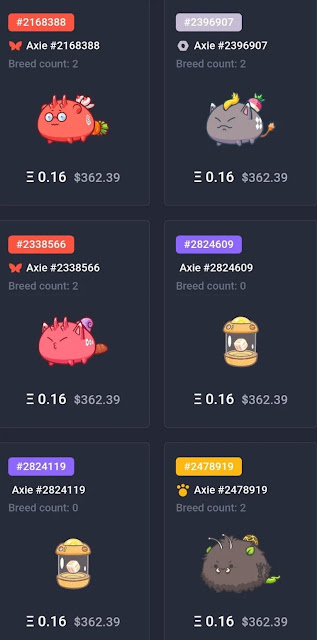 Marketplace axie infinity