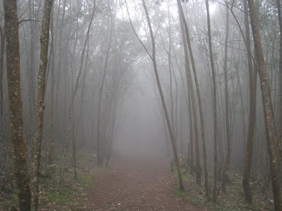 Kodaikanal, India