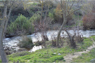 turismo-paisaje-el-burgo-malaga-casa-rural