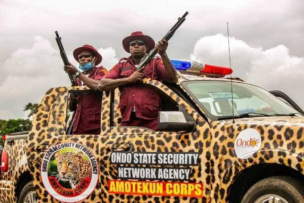 Amotekun 'arrests' 400 cows in Ondo