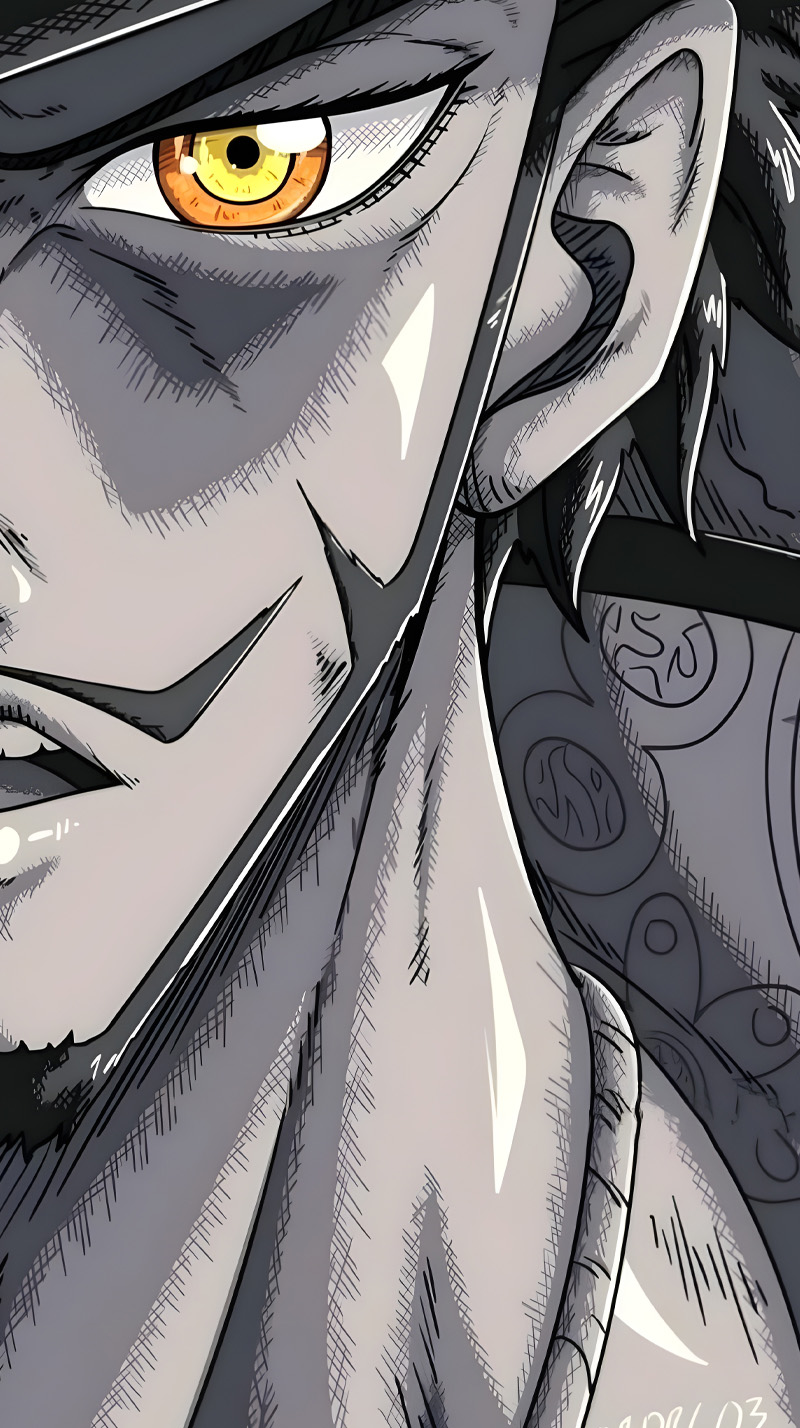 Dracule Mihawk by R one piece mihawk HD phone wallpaper  Pxfuel