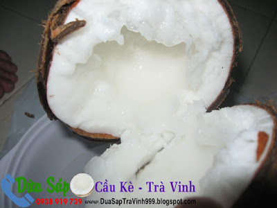 Dừa sáp – Lạ, ngon và đắt