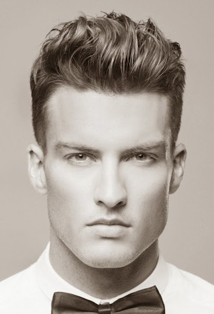 Mens Hairstyles 2013