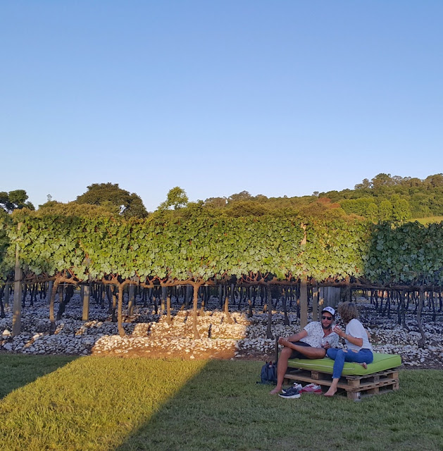 Festival Sabores da Vindima na Rota Vale do Rio das Antas em Bento Gonçalves