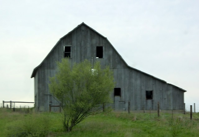 P1140959