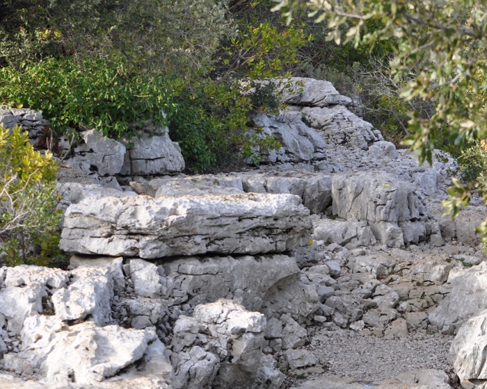 La mer de rochers