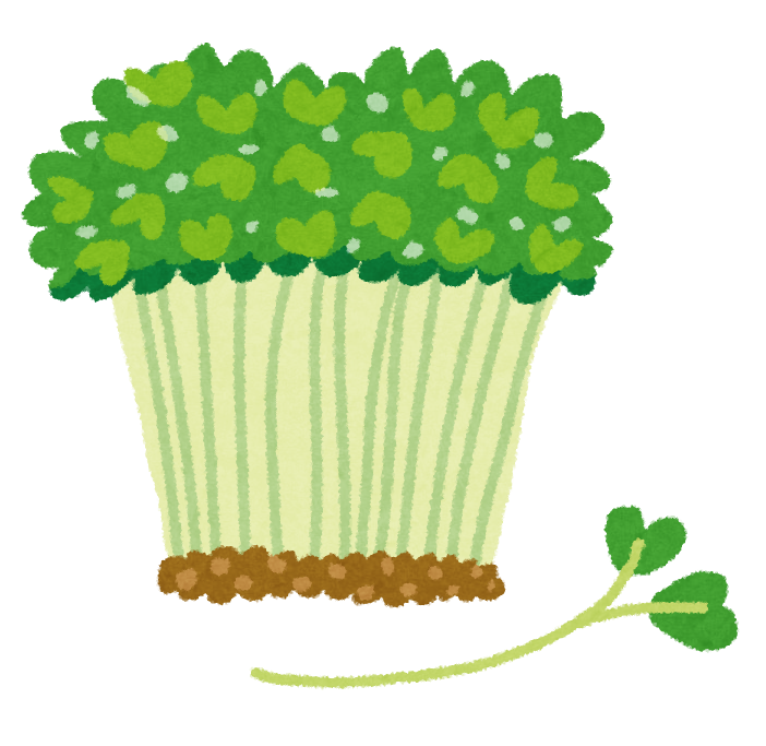 かいわれ大根のイラスト かわいいフリー素材集 いらすとや