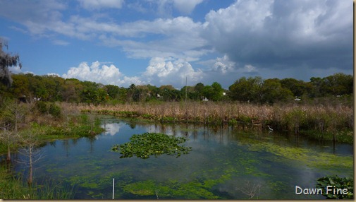 Kapock park Clearwater_013