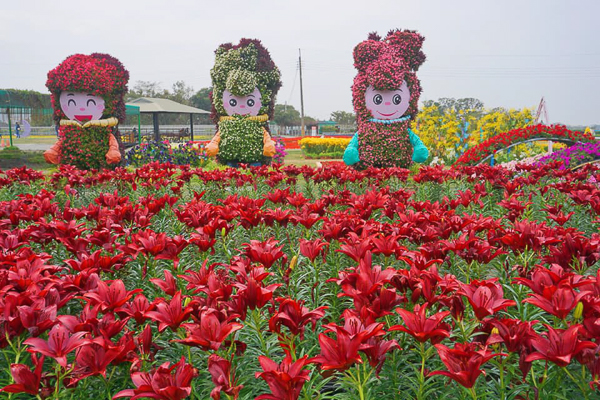 台中后里中社花市鬱金香和百合花爭奇鬥艷，各色花海美翻天超欠拍