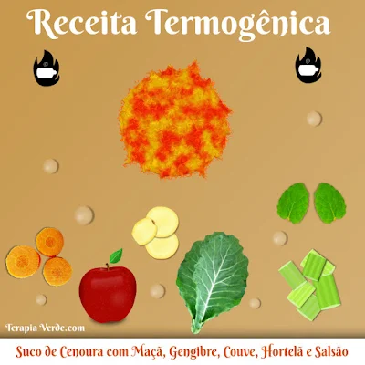 Receita Termogênica: Suco de Cenoura com Maça, Gengibre, Couve, Hortelã e Salsão