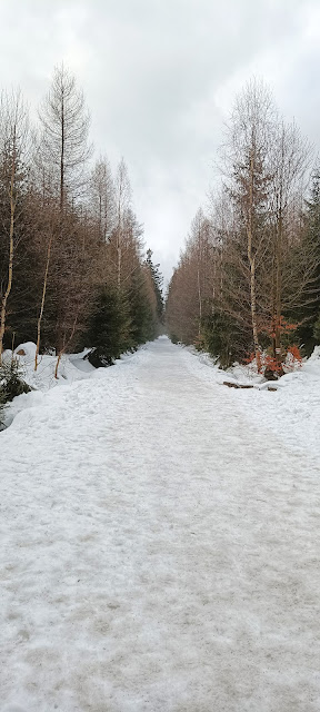 Parking przy Wodospadzie Kamieńczyka